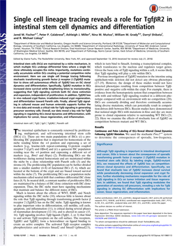 Single Cell Lineage Tracing Reveals a Role for Tgfβr2 in Intestinal Stem Cell Dynamics and Differentiation