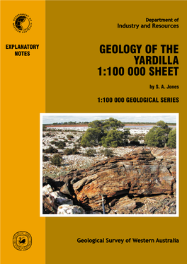 Geology of the Yardilla 1:100 000 Sheet