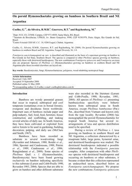 On Poroid Hymenochaetales Growing on Bamboos in Southern Brazil and NE Argentina