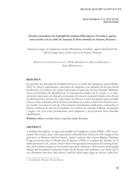 Estados Inmaduros De Leptoglossus Zonatus (Hemiptera, Coreidae): Agente Relacionado Con La Caída De Naranjas (Citrus Sinensis) En Azuero, Panamá