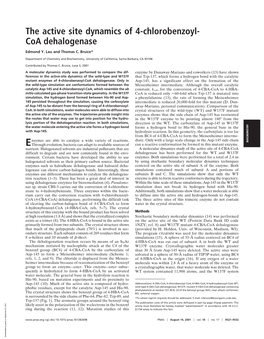 The Active Site Dynamics of 4-Chlorobenzoyl- Coa Dehalogenase