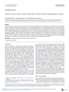 Fossil Usnea and Similar Fruticose Lichens from Palaeogene Amber