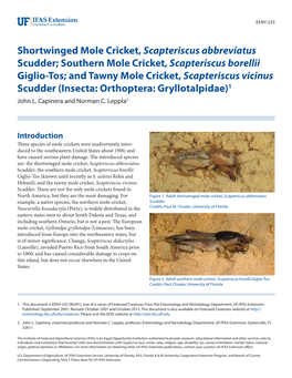 Southern Mole Cricket, Scapteriscus Borellii Giglio-Tos; and Tawny Mole Cricket, Scapteriscus Vicinus Scudder (Insecta: Orthoptera: Gryllotalpidae)1 John L