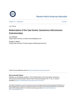 Redescription of the Tyee Sucker, Catostomus Tsiltcoosensis (Catostomidae)