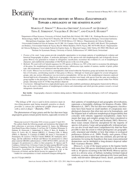 <I>Mimosa</I> (Leguminosae): Toward a Phylogeny of the Sensitive