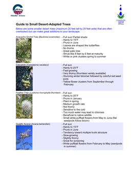 Guide to Small Desert-Adapted Trees