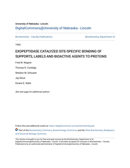 Exopeptidase Catalyzed Site-Specific Bonding of Supports, Labels and Bioactive Agents to Proteins