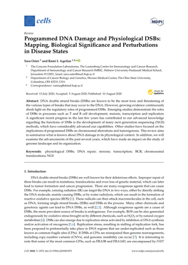 Programmed DNA Damage and Physiological Dsbs: Mapping, Biological Signiﬁcance and Perturbations in Disease States