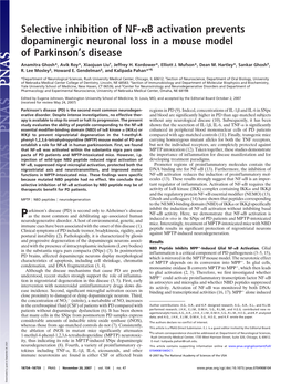 Selective Inhibition of NF- B Activation Prevents Dopaminergic Neuronal