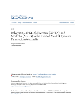(PKD2), Eccentric (XNTA), and Meckelin (MKS3) in the Ciliated Model Organism Paramecium Tetraurelia Megan Smith Valentine University of Vermont