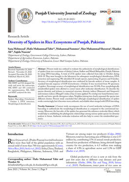 Diversity of Spiders in Rice Ecosystems of Punjab, Pakistan Punjab University Journal of Zoology