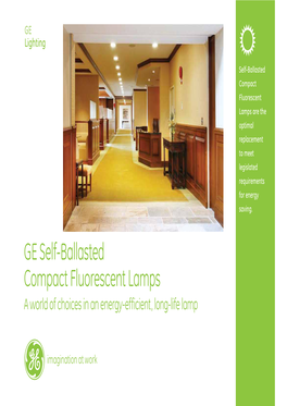 GE Self-Ballasted Compact Fluorescent Lamps | GE Lighting