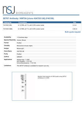 SET07 Antibody / KMT5A [Clone 43AT551.86] (F40198)