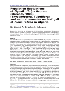 Population Fluctuations of Gynaikothrips Ficorum (Marchal, 1908) (Thysanoptera, Tubulifera) and Natural Enemies on Leaf Gall of Ficus Retusa in Algeria