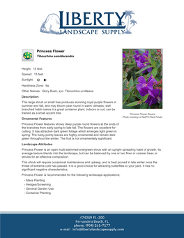 Liberty Landscape Supply Princess Flower