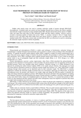 Electrophoretic Analysis for the Separation of Muscle Protein of Fiddler Crabs of Pakistan