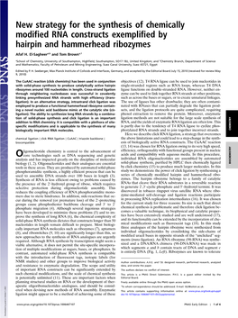 New Strategy for the Synthesis of Chemically Modified RNA Constructs Exemplified by Hairpin and Hammerhead Ribozymes