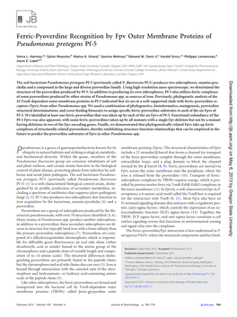 Ferric-Pyoverdine Recognition by Fpv Outer Membrane Proteins of Pseudomonas Protegens Pf-5