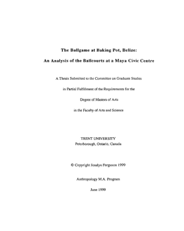 An Analysis of the Ballcourts at a Maya Civic Centre