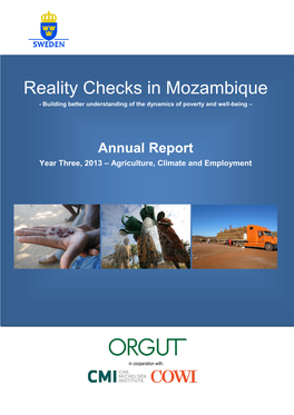 Reality Check Mozambique