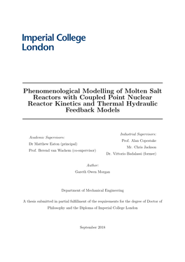 Phenomenological Modelling of Molten Salt Reactors with Coupled Point Nuclear Reactor Kinetics and Thermal Hydraulic Feedback Models