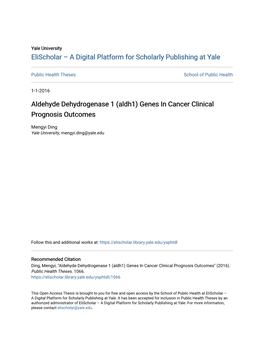 Aldehyde Dehydrogenase 1 (Aldh1) Genes in Cancer Clinical Prognosis Outcomes