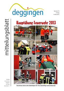 Mitteilungsblatt Nr. 17/2013
