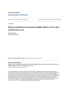 Muscle Contributions to Knee Joint Stability: Effects of ACL Injury and Knee Brace Use