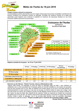 Les Valeurs De Croissance De L'herbe Sont Très