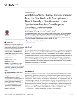 Amphibious Shelter-Builder Oniscidea Species from the New World With