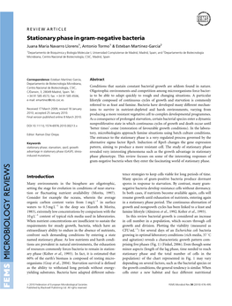 Stationary Phase in Gramnegative Bacteria