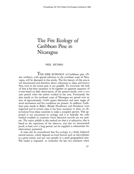 The Fire Ecology of Caribbean Pine in Nicaragua, by Neil Munro, Pp. 67