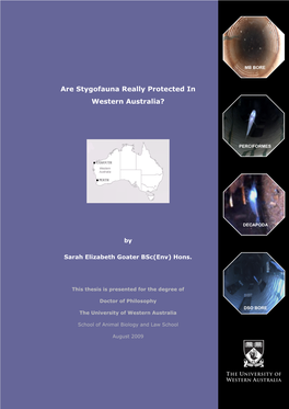 Are Stygofauna Really Protected in Western Australia?