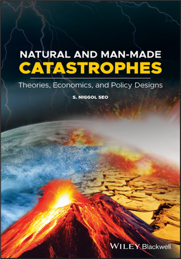 Natural and Man-Made Catastrophes – Theories, Economics, and Policy Designs
