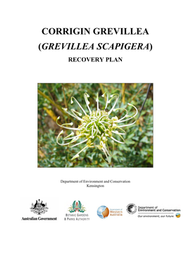 Grevillea Scapigera)