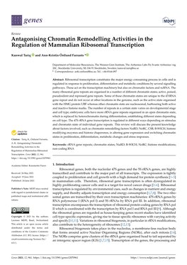 Antagonising Chromatin Remodelling Activities in the Regulation of Mammalian Ribosomal Transcription