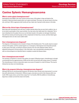 Canine Splenic Hemangiosarcoma