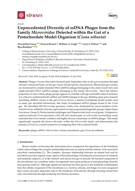 Unprecedented Diversity of Ssdna Phages from the Family Microviridae Detected Within the Gut of a Protochordate Model Organism (Ciona Robusta)