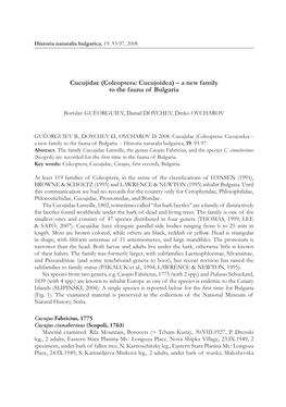 Cucujidae (Coleoptera: Cucujoidea) — a New Family to the Fauna Of