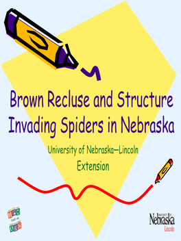 Brown Recluse and Structure Invading Spiders in Nebraska University of Nebraska—Lincoln Extension