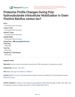 Hydroxybutyrate Intracellular Mobilization in Gram Positive Bacillus Cereus Tsu1