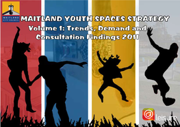 Maitland YSS Trends, Demand and Consultation Findings 13 12 11