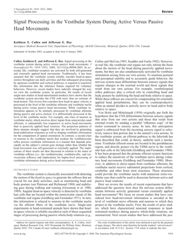 Signal Processing in the Vestibular System During Active Versus Passive Head Movements