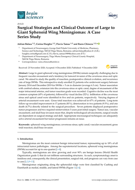 Surgical Strategies and Clinical Outcome of Large to Giant Sphenoid Wing Meningiomas: a Case Series Study