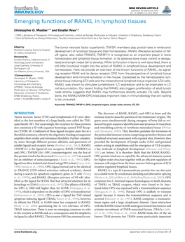 Emerging Functions of RANKL in Lymphoid Tissues