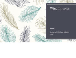 Wing Injuries