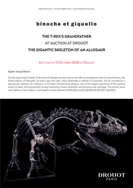 The T-Rex's Grandfather at Auction at Drouot the Gigantic Skeleton of an Allosaur