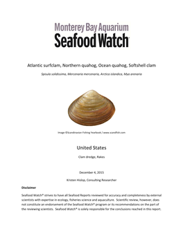 Atlantic Surfclam, Northern Quahog, Ocean Quahog, Softshell Clam