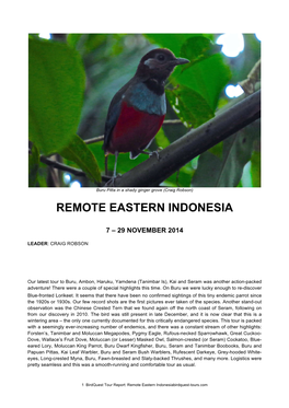 Remote Eastern Indonesia