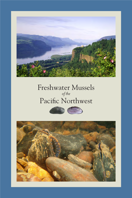 Freshwater Mussels Pacific Northwest